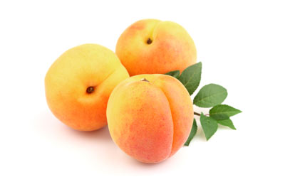 Apricot