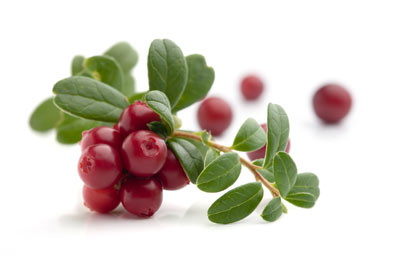 Cranberry